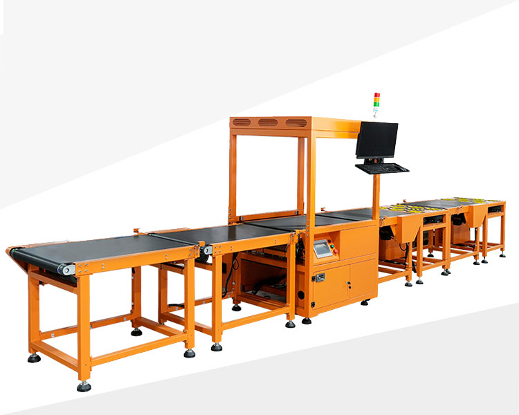 scan-code-weighing-sorting-line-0