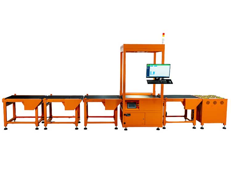 scan-code-weighing-sorting-line-2