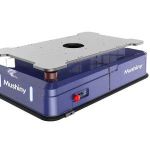 Robot ARM M6-300