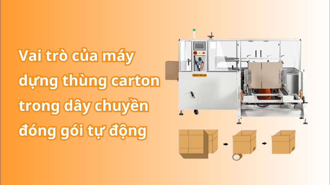 Vai trò của máy dựng thùng carton trong dây chuyền đóng gói tự động