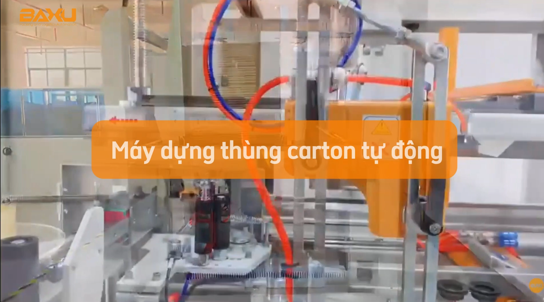 Máy dựng thùng carton tự động BAXU | Giải pháp dựng thùng cho dây chuyền đóng gói